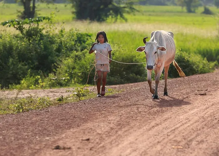 Kwatera prywatna Chansor 4 By Homesteading Siem Reap