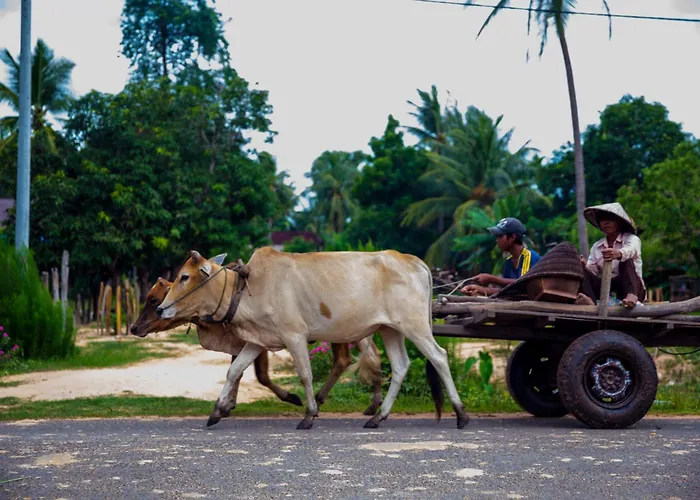 Chansor 4 By Homesteading Siem Reap