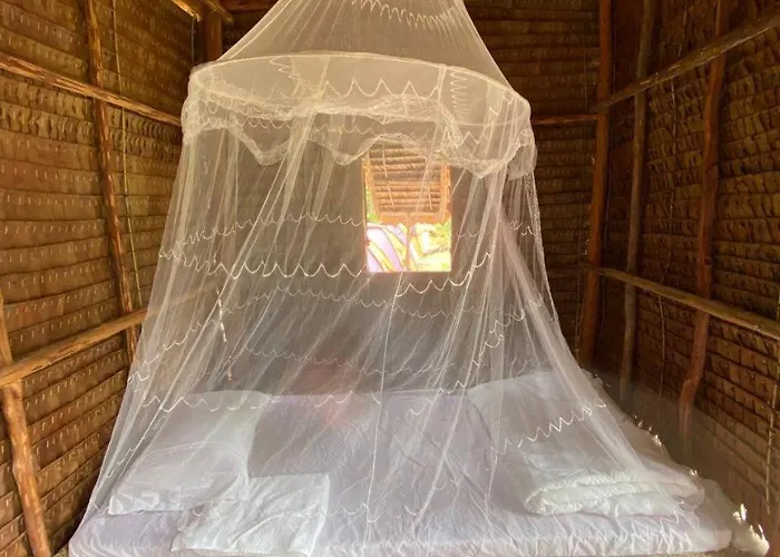Chansor 4 By Homesteading Siem Reap