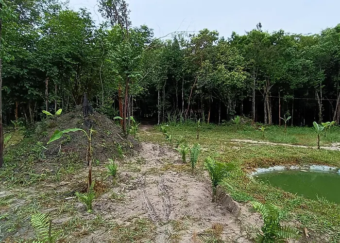 Kwatera prywatna Chansor 4 By Homesteading *